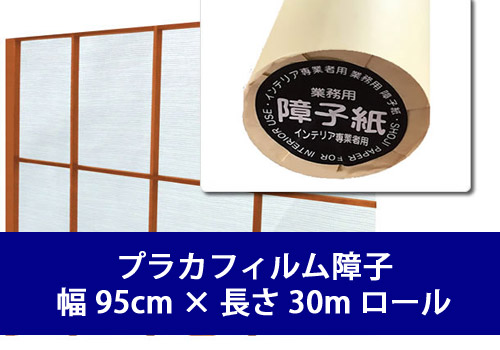 �v���J�t�B������q��